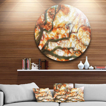 Big Tree - Floral Photography Metal Circle Wall Art